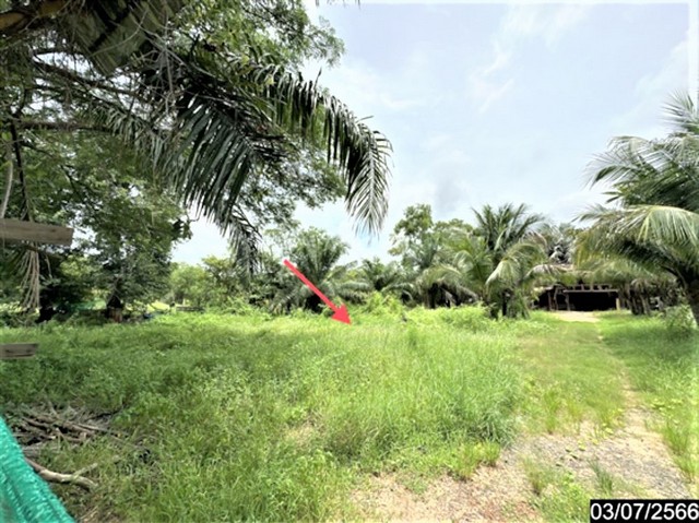 ขายบ้านเดี่ยวใกล้ แม็คโคร อุบลราชธานี อ.เมืองอุบลราชธานี จ.อุบลราชธานี PKK02-15461