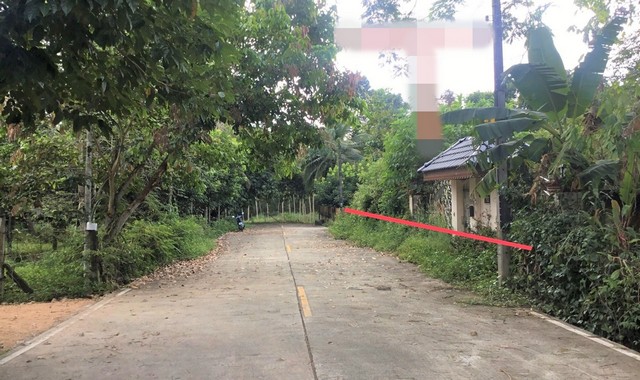 ขายบ้านเดี่ยว     อำเภอหาดใหญ่   สงขลา (PKK02-14463)