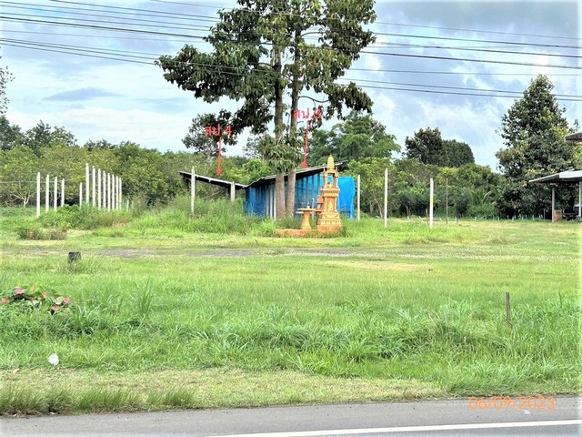 ขายบ้านเดี่ยวใกล้ จ่าน้อยมินิมาร์ท อำเภอเดชอุดม จังหวัดอุบลราชธานี PKK02-13064