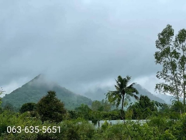 ขายบ้านเดี่ยว      อำเภอหาดใหญ่ สงขลา (PKK02-12759)