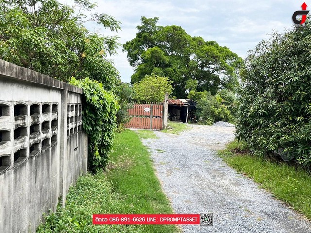 ที่ดินบางบอน 3 ซอย 8 ขนาด ที่ดิน 4 ไร่ เหมาะทำโครงการ สวนอาหาร คาเฟ่