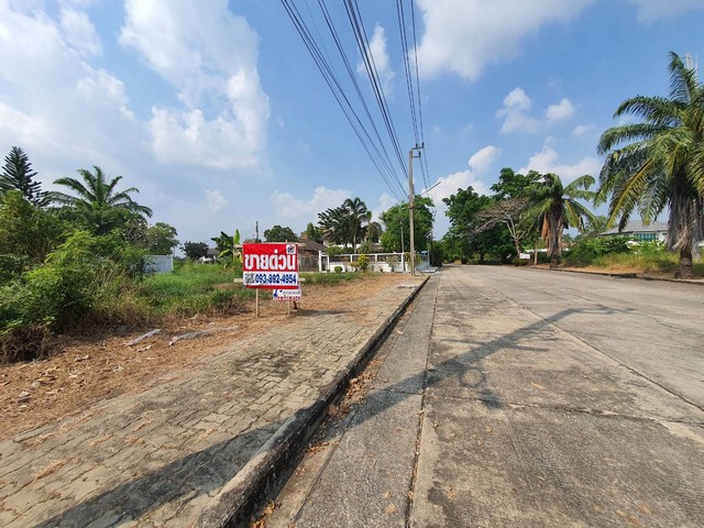 ขาย ที่ดินเปล่า หมู่บ้าน กฤษดานคร 25 แปลงสวย หัวมุม ติดถนน 2 ด้าน ที่ดินถมแล้ว 84 ตร.ว ซอยประชาร่วมใจ 31 มีนบุรี กรุงเทพ- ที่ดินเปล่า เนื้อที่ 84 ตร.ว- แปลงสวย แปลงมุม ติดถนน 2 ด้าน- ที่ดินถมแล้ว- มีน้ำ ไฟฟ้า เข้าถึง- เหมาะกับการสร้างที่อยู่อาศัย- ราคา 25,000 บาท/ตร.ว (ราคารวม 2.1 ล้านบาท)ที่ตั้ง : หมู่บ้านกฤษดานคร 25 ซ.ประชาร่วมใจ 31 ถนนประชาร่วมใจ(คู้ซ้าย) แขวงทรายกองดิน เขตมีนบุรี กร