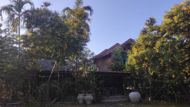 ขายด่วนบ้านไม้พร้อมที่ดิน ต.ลวงเหนือ อ.ดอยสะเก็ด จ.เชียงใหม่ขายบ้านไม้พร้อมที่ดิน เนื้อที่ 2 ไร่ 2 งาน 7 ตารางวา  บ้านไม้  2 ชั้น 2 ห้องน้ำ ชั้นล่าง 1 ชั้นบน 1ราคาขาย 9,000,000 บาทบ้านข้างน้ำ ต.ลวงเหนือ อ.ดอยสะเก็ด จ.เชียงใหม่ เดินทางไปตัวเมืองเชียงใหม่ 20 กิโลเมตร  ไปอำเภอดอยสะเก็ด 5 กิโลเมตร ไปโรงพยาบาลดอยสะเก็ด 3.5 กิโลเมตรสนใจติดต่อสอบถามรายละเอียด โทร 0804932112 ,0822151197