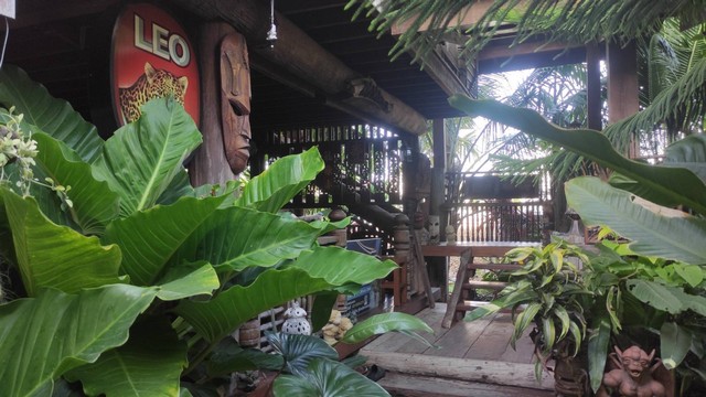 ขายด่วนบ้านไม้พร้อมที่ดิน ต.ลวงเหนือ อ.ดอยสะเก็ด จ.เชียงใหม่