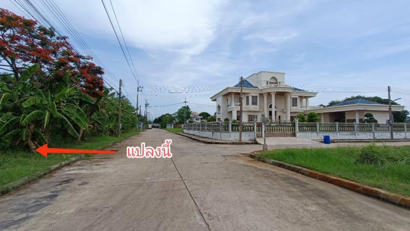 ขายที่ดิน มหาชัยเมืองใหม่ ถนนพระราม 2 สมุทรสาคร ใกล้ถนนพระราม 2 ที่ดินเปล่ามหาชัยเมืองใหม่ แปลงมุม สวย เหมาะสร้างบ้านพักอาศัย