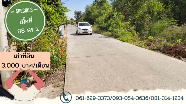 ให้เช่า ที่ดิน คลองห้าตะวันออก ซอยจำรัส 88 ตร.ว. แปลงสวยสี่เหลี่ยม เข้าซอยเพียง 80 เมตร ถนนลาดยาง เช่าถูก 3,000 บาท