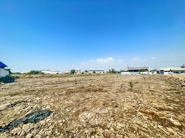 กฤษดา ซิตี้เลค แอนด์ปาร์ค ตลาดนัดเพิ่มพูนทรัพย์  เทพารักษ์  ให้เช่าที่ดินเปล่า 2 ไร่  ถมที่และปรับหน้าดินแล้ว  แพรกษา