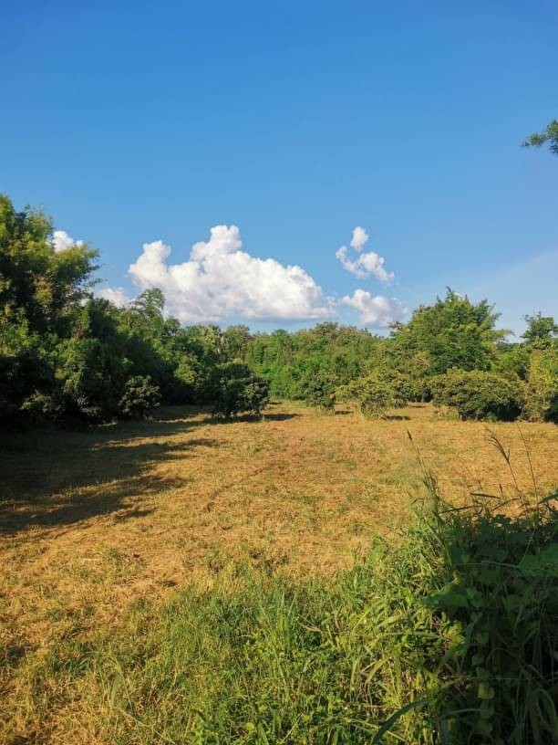 #โซนหางดง #น้ำแพร่ ขายที่ดิน 15 ล้าน เนื้อที่ 2 ไร่ ใกล้ถนนเลี่ยงเมืองหางดง-สันป่าตอง #ใกล้นานาชาติปัญญาเด่น 5 นาที #ใกล้กาดฝรั่งสถานที่ใกล้เคียงสนามกีฬากลางน้ำแพร่ 2 นาทีถนนเลี่ยงเมืองหางดง-สันป่าตอง 2 นาทีโรงเรียนนานาชาติปัญญาเด่น 5 นาทีกาดฝรั่ง 10 นาทีสนามบินเชียงใหม่ 14 นาทีบริ​การยื่น​สินเชื่อ​ทุก​ธนาคาร​ฟรี​ ไม่มีค่าใช้จ่ายเอกสารที่ใช้ยื่นแบงค์สำหรับพน