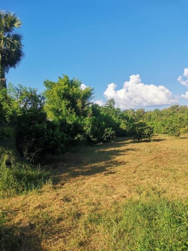 โซนหางดง น้ำแพร่ ขายที่ดิน 15 ล้าน เนื้อที่ 2 ไร่ ใกล้ถนนเลี่ยงเืองหางดง-สันป่าตอง #ใกล้นานาชาติปัญญาเด่น 5 นาที #ใกล้กาดฝรั่ง