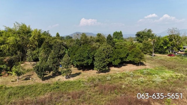 สนใจมาเที่ยวชมโทร ติดต่อ นกได้หลายช่องทางนะคะโทร. 06-3635-5651 (ไลน์เต็มค่ะ)โทร. 06-1494-9665ไลน์ไอดี : @nyland789(ไลน์คลิ๊กแล้วทักมาได้เลยค่ะ) https://line.me/R/ti/p/@lso8480l________________________________ที่สวนผลไม้ผสม 3 ไร่ 2 งาน 4.9 ล้านต.โครกกรวด อ.ปากพลี จ.นครนายก (ใกล้ทางขึ้นเขาใหญ่ฝั่งปราจีน)โฉนดครุฑแดงพร้อมโอนแปลงนี้ขอท่านที่สะดวกซื้อเงินสดนะคะสวนผลไม้ผสมให้ผลผลิตแล้วทั้งหมด อาทิ มังคุด, ทุเรียน 7-8 ต้น, เงาะ, ลองกอ