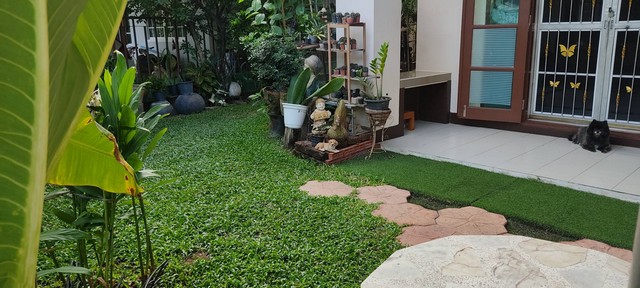 ขายด่วน! ต่ำกว่าราคาทุน ม.ชัยพฤกษ์ บางบัวทอง ถ.วัดลาดปลาดุก บ้านเดี่ยว 58.5 ตารางวา