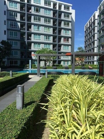 ขายคอนโด The view condominium วิวสระ สวนหลวง เมืองภูเก็ต ขายราคา 1,790,000 ล้านบาทจุดเด่น :* 1 ห้องนอน 1 ห้องน้ำ* เฟอร์นิเจอร์ครบ *เพื่อการลงทุนเช่า 15,000 บ./เดือน ถึงสิ้นเดือนกุมภาพันธ์ 2567*ขนาดห้อง 32 ตร.ม. ชั้น 2*ทำเลทอง 3 นาทีถึงสวนหลวง และ 6 นาทีห้างสรรพสินค้าเซ็นทรัล 10 นาทีถึงตัวเมืองภูเก็ต และ 50 นาทีสนามบินนานาชาติภูเก็ต หากต้องการนัดชมกรุณาติดต่อ: +66 (0)63-0140888Line ID : jeedyleeCondo for sale in Phuket town near  The park with Pool view, Phuket S