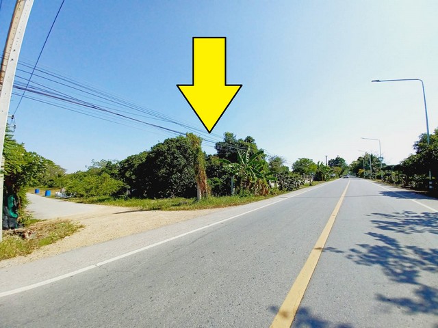 ขายที่ดิน 10 ไร่ คลอง 12 หนองเสือ ติดถนน 3 ด้านขายราคาไร่ละ 1,4250,000 บาท ( มีเนื้อที่ 10-0-0 ไร่ )ขายที่ดิน คลอง 12 หนองเสือ 10 ไร่ ติดถนน 3 ด้าน  เหมาะปลูกบ้านสวน ทำเกษตรพอเพียงได้ หรือซื้อไว้ทำโกดัง อยู่ใกล้แหล่งชุมชนที่ตั้ง:  ( เรียบคลอง12 หนองเสือฝั่งตะวันออก )  ตำบล หนองสามวัง อำเภอ หนองเสือ ปทุมธานี 12110 ขายที่ดินเปล่า คลอง 12  หนองเสือ มีเนื้อที่ 10-0-0 ไร่  ( มีทั้งหมด 2 โฉนดพร้อมโอน )     -  