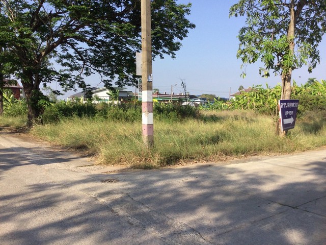 ขายที่ดินเปล่า ทำเลทอง เนื้อที่ 200 ตารางวา พุทธมณฑลสาย 7 อำเภอสามพราน นครปฐม