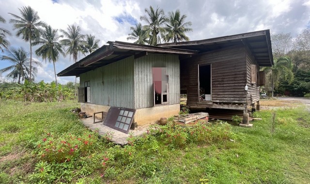 ขายบ้านครึ่งตึกครึ่งไม้   อำเภอกาญจนดิษฐ์  สุราษฎร์ธานี (PKK02-13392)