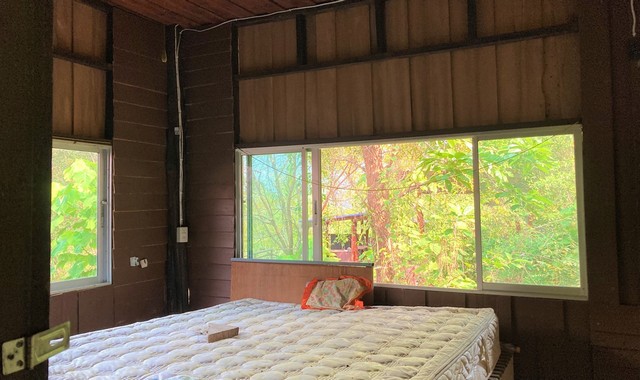 ขายบ้านครึ่งตึกครึ่งไม้   อำเภอเกาะพะงัน  สุราษฎร์ธานี (PKK02-13748)