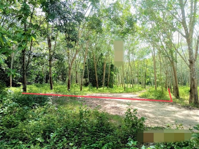 รายละเอียดเพิ่มเติมCode ID  :    PKK02-10214ราคาขาย        3,816,000 บาท- ขนาดพื้นที่ :    10,705 ตร.ว (26 ไร่ / 3 งาน / 5 ตร.ว)- พื้นที่ใช้สอย :    50 ตร.ม- จำนวนห้อง :   - ห้องนอน - ห้องน้ำ- ที่จอดรถ :    1-2 คัน- บ้านครึ่งตึกครึ่งไม้ :      1 ชั้น- บ้านครึ่งตึกครึ่งไม้หันทางทิศ : -- อายุอาคาร :    10 ปีพิกัดทรัพย์   :   https://maps.app.goo.gl/k4WAxYyrFsSUmKpA7สถานที่ใกล้เคียง- ใกล้โลตัส คีรีรัฐนิคม- ใกล้โรงพยาบาลคีรีรัฐนิคม- ใกล้วัดสถิตคีรีรมย์- ใกล้โรงเรีย�