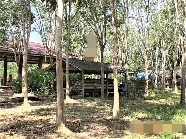 ขายบ้านเดี่ยว   อำเภอคีรีรัฐนิคม สุราษฎร์ธานี (PKK02-09947)