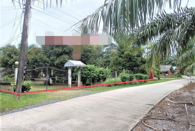 รายละเอียดเพิ่มเติมCode ID :   PKK02-14722ราคาขาย           3,020,000 บาท- ขนาดพื้นที่ :   1,331 ตร.ว (3 ไร่ / 1 งาน / 31 ตร.ว) - พื้นที่ใช้สอย :     201 ตร.ม- จำนวนห้อง :  4 ห้องนอน 1 ห้องน้ำ- ที่จอดรถ :     1-2 คัน- บ้านเดี่ยว :      1 ชั้น- บ้านเดี่ยวหันทางทิศ : -- อายุอาคาร :   13 ปีพิกัดทรัพย์  :    https://maps.app.goo.gl/NfMpJEjcqN1buwje7 สถานที่ใกล้เคียง- ใกล้โรงเรียนวัดบ้านใน- ใกล้วัดบ้านในพัฒนาราม- ใกล้โรงเรียนปากแพรกวิทยาคม- ใกล้วัดป่าธรรมารามสอบถามเพ