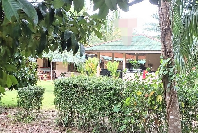 ขายบ้านเดี่ยว  อำเภอดอนสัก  สุราษฎร์ธานี (PKK02-14722)