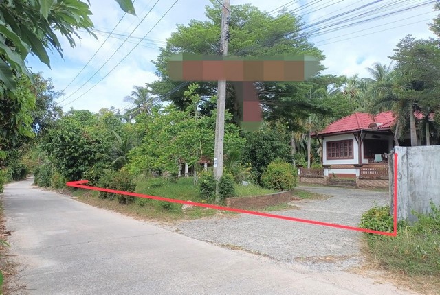 รายละเอียดเพิ่มเติมCode ID :   PKK02-15640ราคาขาย          8,452,000 บาท- ขนาดพื้นที่ :   932.70 ตร.ว (2 ไร่ / 1 งาน / 32.70 ตร.ว)  - พื้นที่ใช้สอย :     187 ตร.ม- จำนวนห้อง :  2 ห้องนอน 3 ห้องน้ำ- ที่จอดรถ :     1-2 คัน- บ้านเดี่ยว :      1 ชั้น- บ้านเดี่ยวหันทางทิศ : -- อายุอาคาร :   11 ปีพิกัดทรัพย์  :       https://maps.app.goo.gl/zaTPCCZcxbD6anak9 สถานที่ใกล้เคียง- ใกล้โลตัส โกเฟรช สาขาตลาดศรีฟ้า สมุย- ใกล้โรงพยาบาลเกาะสมุย- ใกล้ตลาดสดศรีฟ้า - ใกล้ตลาดสดหัวถนนสอบถ�