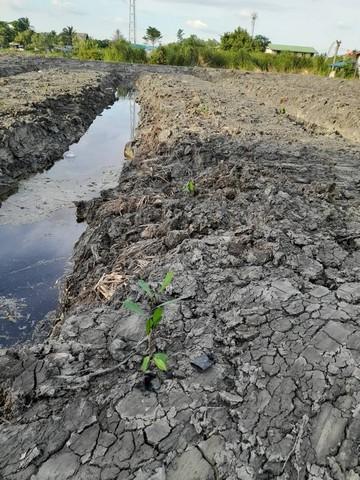 ขายที่ดิน9ไร่ย่านถนนพระราม2สมุทรสาคร กม.17 หน้ากว้างติดถนน 80 เมตรราคาขาย 90,000,000 บาท ( โอนคนละครึ่ง )ที่ตั้ง ถนนพระราม 2 ตำบลคอกกระบือ อำเภอเมืองสมุทรสาคร จังหวัดสมุทรสาครเนื้อที่ 9 ไร่ จำนวน 2 โฉนดติดต่อ : คุณภัสพงณ์ 0634098164 ,0813987741Line : deedaa23PL. Real Estate Brokerhttp://www.kaibaanteedin.comบริการรับฝากขาย คอนโด บ้าน ที่ดิน อสังหาริมทรัพย์ทุกชนิดSLJ0129 คุณเจี๊ยบ