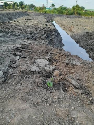 ขายที่ดิน 2 โฉนด เนื้อที่ 9 ไร่ ติดถนนพระราม 2 กิโลเมตรที่ 17 หน้ากว้างติดถนน 80 เมตร