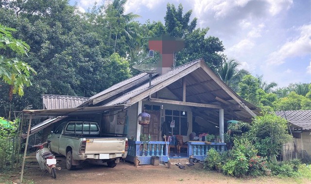 ขายบ้านเดี่ยว   อำเภอพระแสง สุราษฎร์ธานี (PKK02-14553)