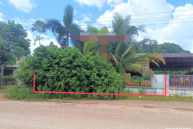 รายละเอียดเพิ่มเติมCode ID :  PKK02-14114ราคาขาย        1,658,000 บาท- ขนาดพื้นที่ :   104.80 ตร.ว (1 งาน / 4.80 ตร.ว) - พื้นที่ใช้สอย :   119 ตร.ม- จำนวนห้อง :   2 ห้องนอน 1 ห้องน้ำ- ที่จอดรถ :    1-2 คัน- บ้านเดี่ยว :     1 ชั้น- บ้านเดี่ยวหันทางทิศ : -- อายุอาคาร :    23 ปีพิกัดทรัพย์  :    https://maps.app.goo.gl/LadBh7NQXhRxS3Sc7สถานที่ใกล้เคียง- ใกล้ตลาดนัดต้นปาล์ม บางสวรรค์- ใกล้โรงพยาบาลปลายพระยา- ใกล้วัดถ้ำปราสาทนาฬาคิริง- ใกล้โรงเรียนบ้านปากหยาสอ�