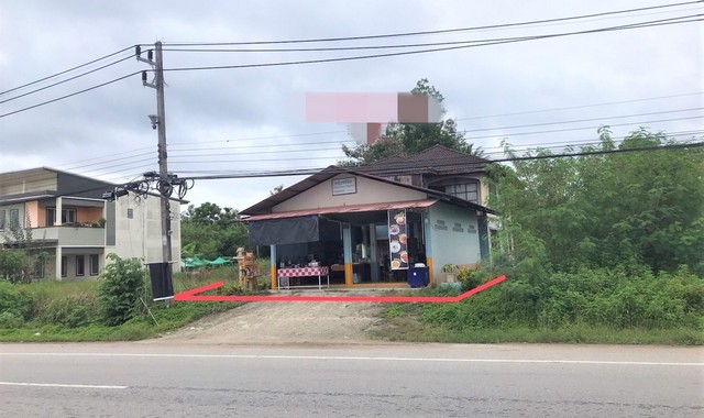 ขายบ้านเดี่ยว   อำเภอพระแสง สุราษฎร์ธานี (PKK02-13297)