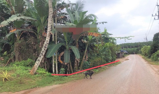 ขายบ้านเดี่ยว   อำเภอพระแสง สุราษฎร์ธานี (PKK02-08756)