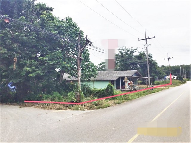 ขายบ้านเดี่ยว   อำเภอพุนพิน สุราษฎร์ธานี (PKK02-12980)