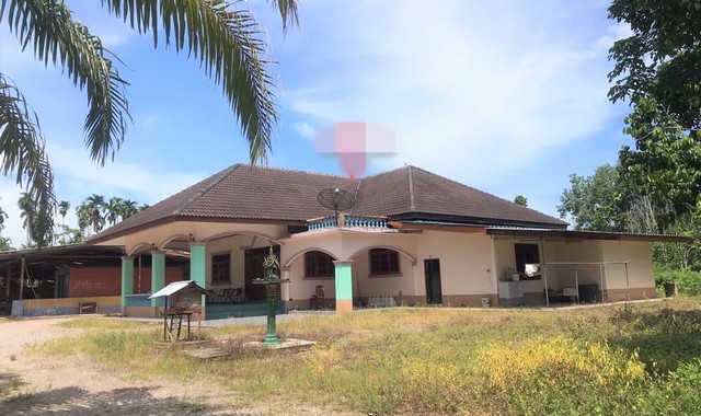 รายละเอียดเพิ่มเติมCode ID : PKK02-12106ราคาขาย       11,136,000 บาท- ขนาดพื้นที่ :   5,392 ตร.ว (13 ไร่ / 1 งาน / 92 ตร.ว)- พื้นที่ใช้สอย :     176 ตร.ม- จำนวนห้อง :   2 ห้องนอน 1 ห้องน้ำ- ที่จอดรถ :  1-2 คัน- บ้านเดี่ยว :    1 ชั้น- บ้านเดี่ยวหันทางทิศ : -- อายุอาคาร :    20 ปีพิกัดทรัพย์    :      https://maps.app.goo.gl/DvTD1RYjyFSeTxTX9สถานที่ใกล้เคียง- ใกล้โลตัส เวียงสระ- ใกล้แม็คโคร เวียงสระ - ใกล้ตลาดรุ่งเรืองพลาซ่า- ใกล้โรงเรียนบ้านควนบกสอบถามเพิ่มเติ�