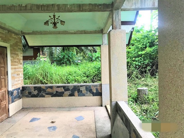 ขายบ้านเดี่ยว   อำเภอเวียงสระ  สุราษฎร์ธานี (PKK02-10839)