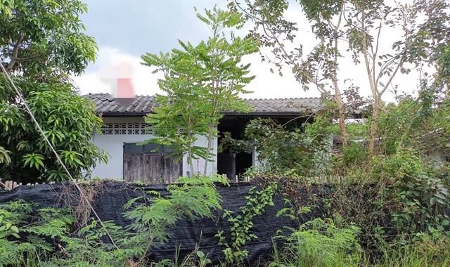 รายละเอียดเพิ่มเติมCode ID  :    PKK02-15116ราคาขาย       3,877,000 บาท- ขนาดพื้นที่ :   4,945 ตร.ว (12 ไร่ / 1 งาน / 45 ตร.ว) - พื้นที่ใช้สอย :    155.25 ตร.ม- จำนวนห้อง :   9 ห้องนอน 1 ห้องน้ำ- ที่จอดรถ :    1-2 คัน- บ้านเดี่ยว  :    1 ชั้น- บ้านเดี่ยวหันทางทิศ : -- อายุอาคาร :    21 ปีพิกัดทรัพย์   :   https://maps.app.goo.gl/nm1Xn4KqZHK5mkch8สถานที่ใกล้เคียง- ใกล้วัดจันทาวาส- ใกล้วัดดอนยาง- ใกล้โรงเรียนบ้านดอนเสาธง- ใกล้โรงเรียนวัดคีรีวงสอบถามเพิ่มเติม/นัดชม�