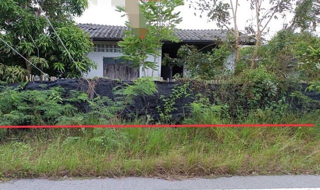 ขายบ้านเดี่ยว   อำเภอกาญจนดิษฐ์  สุราษฎร์ธานี (PKK02-15116)