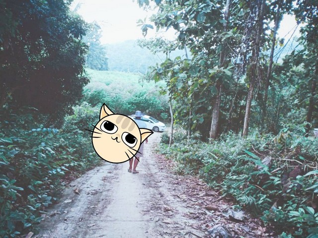 ขายที่ดินติดลำธาร ลำน้ำมวบ จ.น่าน เมืองเหนือ ต.พงษ์ อ.สันติสุข จ.น่าน เนื้อที่ 3 ไร่ 35 ตร.ว ราคา 800,000 บาท เอกสารสิทธิ์ นส.3 ก.ใกล้แหล้งชุมชนน้ำไฟเข้าถึง วิวงามธรรมชาติสมบูรณ์ ทิวเขาล้อมรอบ ลำธารผ่านข้างแปลงทั้งแถบ รูปที่ดินเป็นรูปสี่เหลี่ยมคางหมู น้ำใสไหลรินฉ่ำชุ่มเย็นสบายชุ่มฉ่ำสดชื่นเย็นสบายตลอดปี ไอหมอกยามเช้าแสนบริสุทธิ์ ท่ามกลางธรรมชาติ สดชื่นสวยงามตร