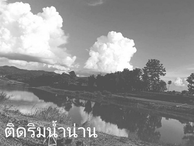 ขายที่ดินริมแม่น้ำน่าน ติดแม่น้ำน่าน ขนาดเนื้อที่ 1 ไร่ 5 ตร.วา มีที่งอก 3งาน ทำประโยชน์ได้ตาม ป.วิ.พ. มาตรา 1308 เช่ารวม  3000 บาท/ปี ขาย 800,000 บาท ค่าใช้จ่ายวันโอนครึ่งครึ่ง ซื้อผ่อนเจ้าของได้มีพื้นที่ส่วนงอก ฉ8971 ต.ศรีภูมิ อ.ท่าวังผา จ.น่านเอกสารสิทธิ์โฉนดครุฑแดง  วิวภูเขาล้อมรอบติดแม่น้ำบรรยากาศดีธรรมชาติสมบูรณ์สุดๆน้ำใสไกลรินชุ่มฉ่ำเย็นสบายตลอดปี ติดทางสาธารณประ