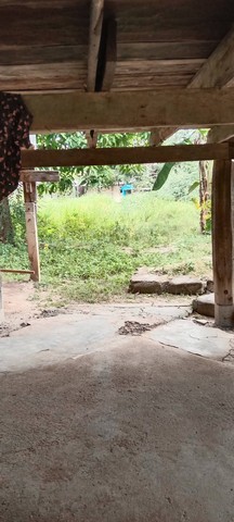 ขายบ้านพร้อมที่ดิน 262 ตารางวา หมู่ที่ 4 ต.โพทะเล อ.ค่ายบางระจัน จ.สิงห์บุรี เลขที่โฉนด 6942เอกสารสิทธิ์โฉนดครุฑแดง ขาย 500,000 บาท ค่าใช้จ่ายวันโอนทั้งหมดคนละครึ่งโปรโมชั่นพิเศษสุดสุด สามารถซื้อแบบผ่อนเจ้าของได้ติดถนนรถยนต์เข้า-ออกได้ ทางเข้าทางหลวงชนบท สห.3098 ใกล้คลองยางต้นเดีย คลองสาธารณประโยชน์และติดทางสาธารณประโยชน์ รถยนต์เข้าออกได้น้ำไฟถึงที่ ใกล้สถานที