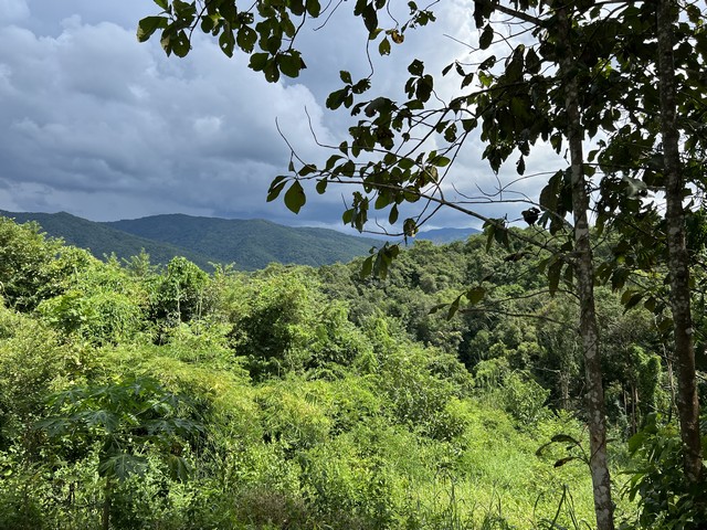 ขายที่ดิน แปลงสวย ราคาถูก มีโฉนดพร้อมโอน ทำเลดี วิวงาม ติดถนน มองเห็นฉากดอยสวย ๆ เต็ม ๆ