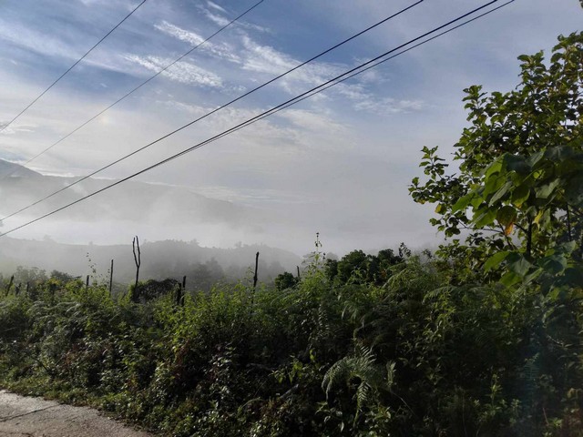 ขายที่ดินบนเนินเขายอดดอยบ่อเกลือ จ.น่าน เนื้อที่ 44-1-25 ไร่  วิวสวย มีทะเลหมอก