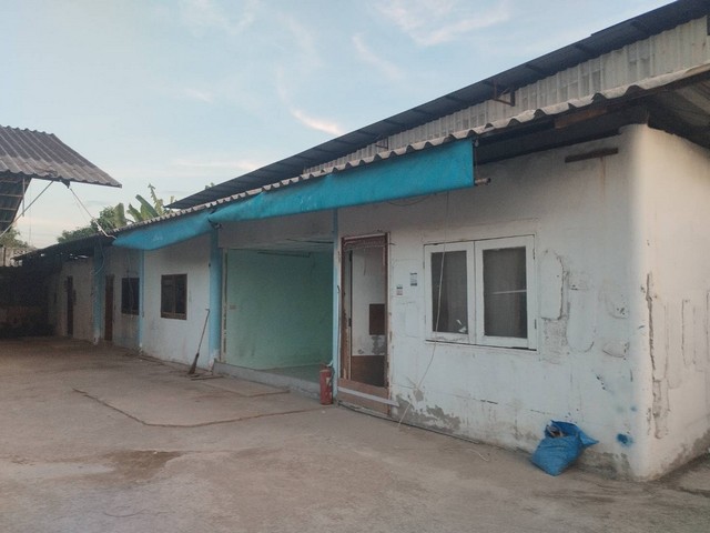 ปล่อยเช่าโกดัง เนื้อที่200ตรว ทำเล พระราม2  แขวงท่าข้าม เขตบางขุนเทียน กรุงเทพ