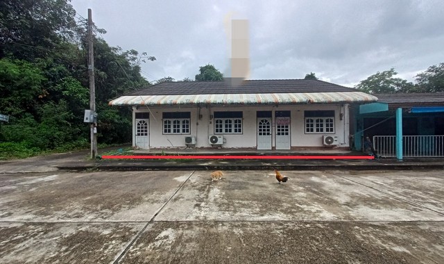 รายละเอียดเพิ่มเติมCode ID :    PKK02-13409ราคาขาย        3,380,000 บาท- ขนาดพื้นที่ :    170 ตร.ว (1 งาน / 70 ตร.ว) - พื้นที่ใช้สอย :    236.25 ตร.ม- จำนวนห้อง :    3 ห้องนอน 3 ห้องน้ำ- ที่จอดรถ :    1-2 คัน- บ้านเดี่ยว  :      1 ชั้น- บ้านเดี่ยวหันทางทิศ : -- อายุอาคาร :    24 ปีพิกัดทรัพย์ :   https://maps.app.goo.gl/B8fUmjzLG84655eVAสถานที่ใกล้เคียง- ใกล้โลตัส โกเฟรช เทพา สงขลา- ใกล้โรงพยาบาลเทพา- ใกล้โรงเรียนเทพา- ใกล้วัดพิกุลบุญญารามสอบถามเพิ่มเติม/นัดชม�