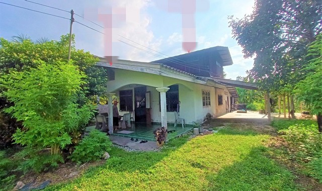 รายละเอียดเพิ่มเติมCode ID :    PKK02-08970ราคาขาย        2,228,000 บาท- ขนาดพื้นที่ :    3,997 ตร.ว (9 ไร่ / 3 งาน / 97 ตร.ว) - พื้นที่ใช้สอย :     107 ตร.ม- จำนวนห้อง :    2 ห้องนอน 1 ห้องน้ำ- ที่จอดรถ :    1-2 คัน- บ้านครึ่งตึกครึ่งไม้ :      2 ชั้น- บ้านครึ่งตึกครึ่งไม้หันทางทิศ : -- อายุอาคาร :    42 ปีพิกัดทรัพย์ :   https://maps.app.goo.gl/JhWVqe2r9WhhDJg86สถานที่ใกล้เคียง- ใกล้ตลาดนัดนิคม- ใกล้โลตัส โก เฟรช เทพา สงขลา- ใกล้โรงพยาบาลเทพา- ใกล้วัดพุทธนิมิต(โ