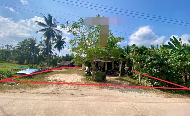 รายละเอียดเพิ่มเติมCode ID :    PKK02-11037ราคาขาย        906,000 บาท- ขนาดพื้นที่ :  117 ตร.ว (1 งาน / 17 ตร.ว)- พื้นที่ใช้สอย :     134.75 ตร.ม- จำนวนห้อง :    2 ห้องนอน 1 ห้องน้ำ- ที่จอดรถ :    1-2 คัน- บ้านเดี่ยว :      1 ชั้น- บ้านเดี่ยวหันทางทิศ : -- อายุอาคาร :    22 ปีพิกัดทรัพย์ :   https://maps.app.goo.gl/6yLhG9brnCQksK9p6สถานที่ใกล้เคียง- ใกล้บิ๊กซี ซูเปอร์เซ็นเตอร์ นาทวี- ใกล้วัดในวัง พระอารามหลวง- ใกล้โรงเรียนบ้านเคลียง- ใกล้โรงเรียนบ้านนาทวีส�