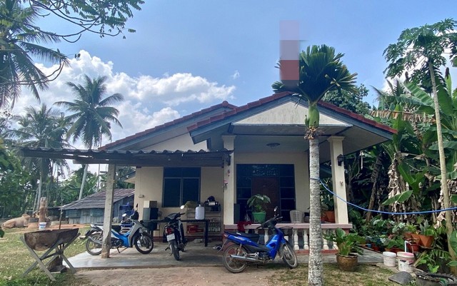 ขายบ้านเดี่ยว       อำเภอนาทวี  สงขลา (PKK02-11037)