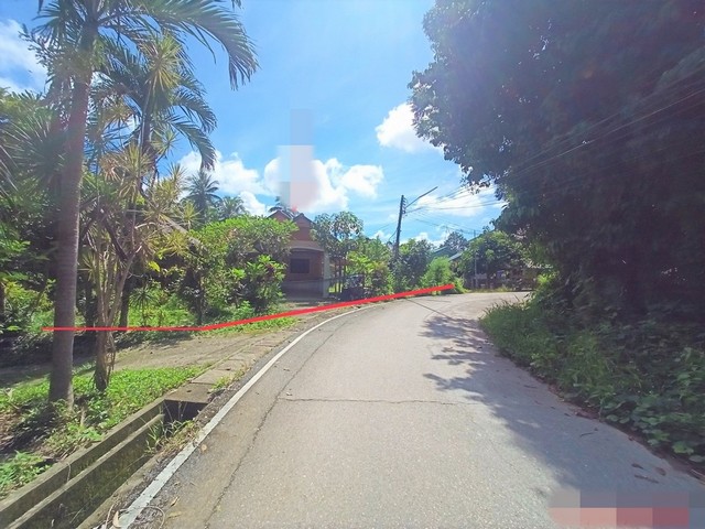 ขายบ้านเดี่ยว        อำเภอนาทวี  สงขลา (PKK02-10274)