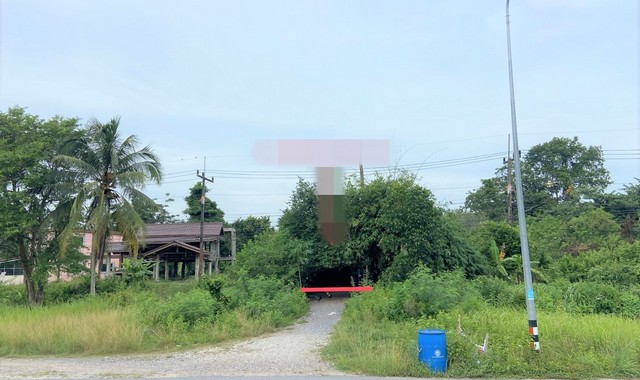 รายละเอียดเพิ่มเติมCode ID :    PKK02-09678ราคาขาย         1,215,000 บาท- ขนาดพื้นที่ :  31 ตร.ว - พื้นที่ใช้สอย :     96.75 ตร.ม- จำนวนห้อง :    1 ห้องนอน 1 ห้องน้ำ- ที่จอดรถ :    1-2 คัน- บ้านเดี่ยว :      1 ชั้น- บ้านเดี่ยวหันทางทิศ : -- อายุอาคาร :    25 ปีพิกัดทรัพย์ :   https://maps.app.goo.gl/LGt3Xu2wuxTZkWWR6สถานที่ใกล้เคียง- ใกล้บิ๊กซี ซูเปอร์เซ็นเตอร์ นาทวี- ใกล้โรงพยาบาลสมเด็จพระบรมราชินีนาถ ณ อำเภอนาทวี- ใกล้โรงเรียนศาสนอุปถัมภ์- ใกล้โรงเ�