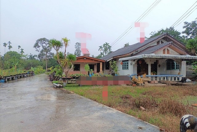 รายละเอียดเพิ่มเติมCode ID :  PKK02-15108ราคาขาย      1,668,000 บาท- ขนาดพื้นที่ :    300  ตร.ว (3 งาน)- พื้นที่ใช้สอย : 93 ตร.ม- จำนวนห้อง :  2 ห้องนอน 1 ห้องน้ำ- ที่จอดรถ :   1-2 คัน- บ้านเดี่ยว :     1 ชั้น- บ้านเดี่ยวหันทางทิศ : -- อายุอาคาร :    22 ปีพิกัดทรัพย์  :    https://maps.app.goo.gl/unps6AP6F39GZmaa8สถานที่ใกล้เคียง- ใกล้เทสโก้ โลตัส เอ็กซ์เพรส ทุ่งเตา- ใกล้โรงพยาบาลบ้านนาสาร- ใกล้โรงเรียนบ้านห้วยตอ- ใกล้โรงเรียนบ้านทุ่งในไร่สอบถามเ