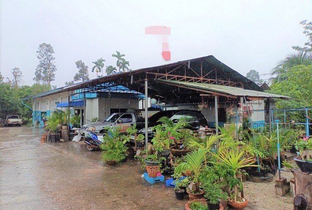 ขายบ้านเดี่ยว   อำเภอบ้านนาสาร  สุราษฎร์ธานี (PKK02-15108)